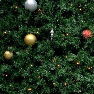 Meet your Posher, Lorena